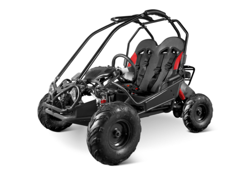 212cc Hammerhead GT50 Buggy Gokart til børn - Plads til 2. En buggy bygget til terræn og offroad!