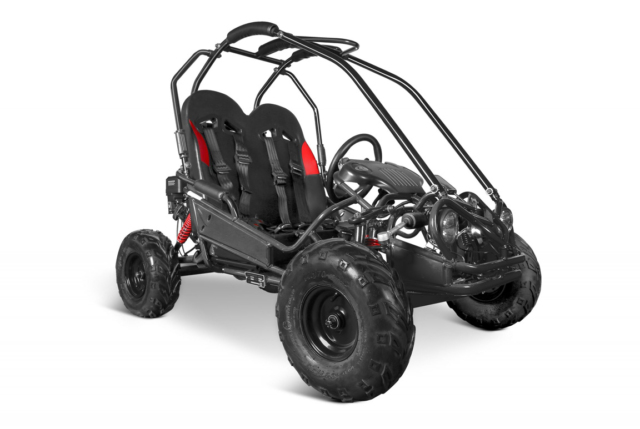 212cc Hammerhead GT50 Buggy Gokart til børn - Plads til 2. En buggy bygget til terræn og offroad!